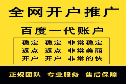 竞价广告投放策略，代运营公司的成功实践